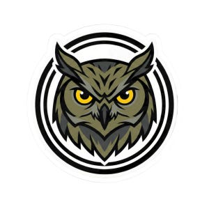 May include: A sticker featuring a detailed illustration of an owl's head. The owl has yellow eyes, olive green and gray feathers, and is set against a white background with black and white concentric circles. The owl's expression is intense.