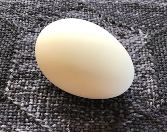 Goose Craft Egg