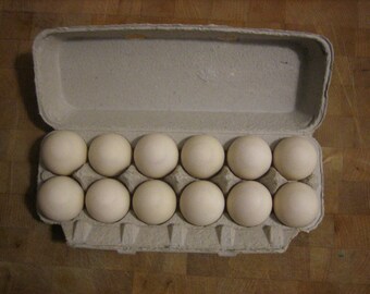 12 Duck Craft Eggs