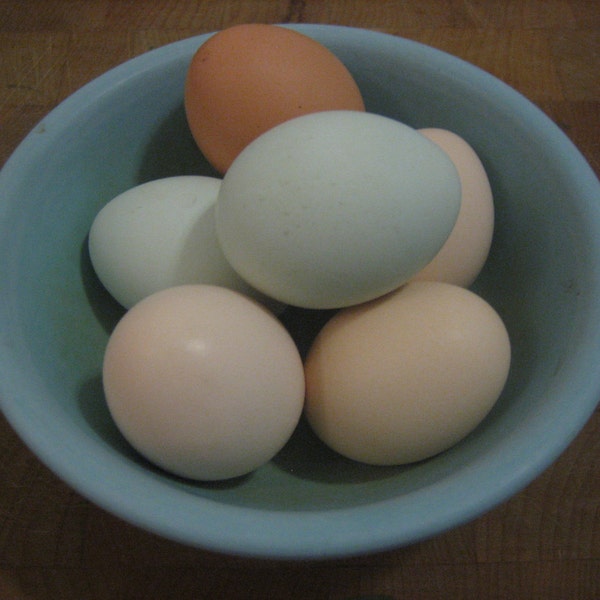 6 Mini Chicken Craft Eggs