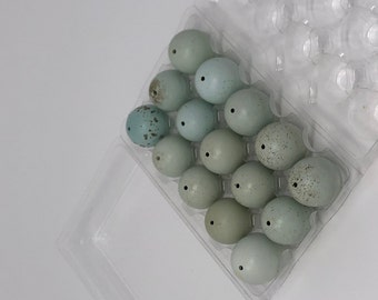 Craft Eggs