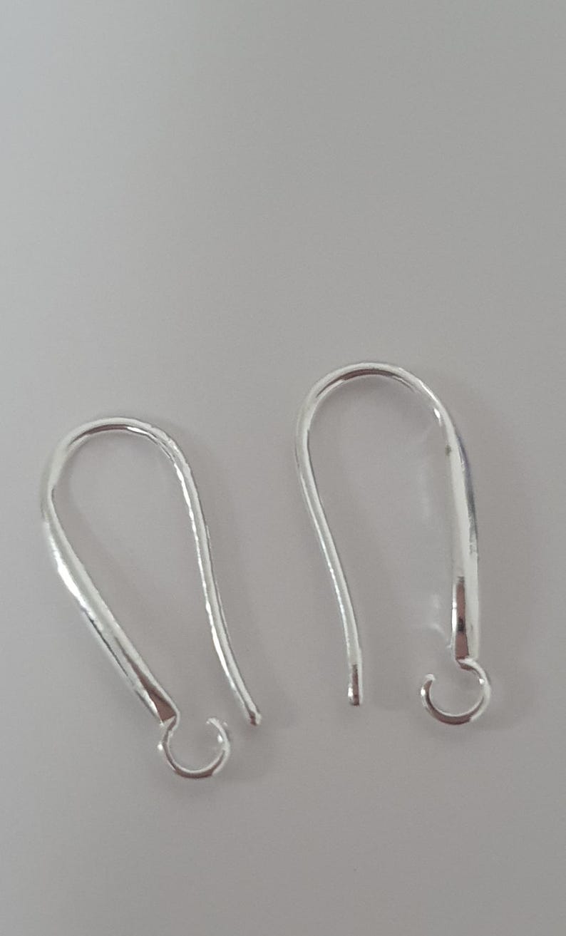May include: Two silver-colored earring hooks. The hooks have a curved, elongated design with a small loop at the bottom for attaching earrings. The hooks are made of a shiny, metallic material.