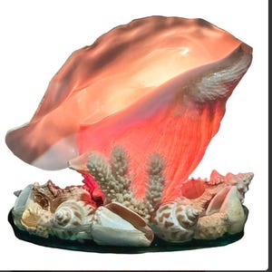 May include: A seashell lamp with a large, open conch shell as the main shade, emitting a warm, pinkish glow. The base is adorned with various seashells and coral, creating a coastal theme. The lamp is designed to illuminate a room.