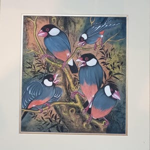 Acquerello originale di Bali - Passero di Giava di Lanus, Tegalalang (senza cornice)