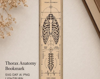 Thorax Anatomie Lesezeichen SVG, DXF, AI, Png, Lightburn Anatomy Laser Gravur Design Datei