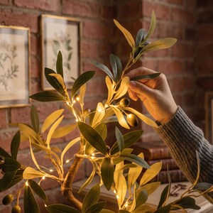 May include: Olive tree with green and yellow leaves, small olives, and tiny white lights. The tree has a brown trunk and branches. The background includes a brick wall and framed botanical prints.