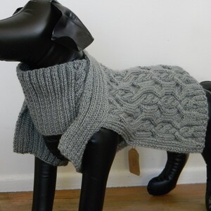 Icy Sage Green Dog Cape