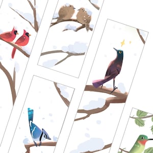 Cozy Birding Lesezeichen Paket - Blauhäher, Grackle, Rubinkehlkolibri, Kardinal, Trauernde Taube Illustrationen - Druckbare PNG, PDF
