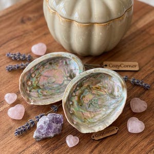 Peut inclure: Deux coquilles d'ormeau irisées à l'intérieur nacré, accompagnées de petites pierres roses en forme de cœur, de brins de lavande séchés, d'un cristal d'améthyste violet et d'un pot citrouille en céramique beige avec deux étiquettes en bois CozyCorner.