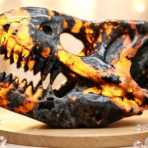May include: A detailed, handcrafted dinosaur skull sculpture. The skull is a mix of black and orange hues, with visible teeth and eye sockets. It rests on a wooden base, with decorative crystals and flowers surrounding it.