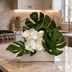 small monstera Monstera deliciosa variegata 'Mint' Baby