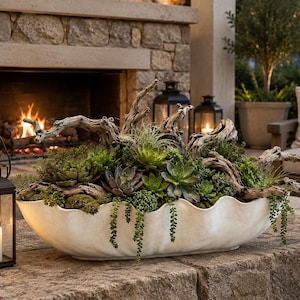 Driftwood Succulent Centerpiece Faux Succulents Botanical Arrangement Coastal Table Accent Organic Modern Bowl Succulent Decor Driftwood