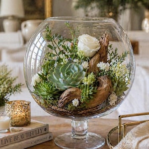 Succulents in Glass Bowl - Etsy