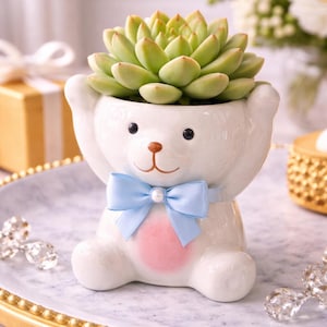 Ceramic Bear Succulent Planter, Baby Shower Favor, Safari Theme Decor