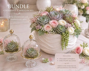 Succulent Centerpiece and Mini Cloches, Gold Accent Base, Elegant Decor