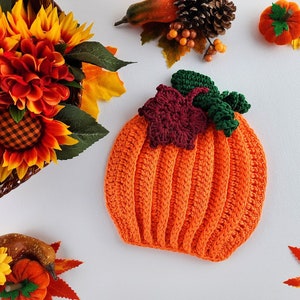 Pumpkin Potholder Crochet Pattern - Pumpkin Hot Pad - Pumpkin Trivet - Fall Autumn Pumpkin Kitchen Decor - Maple Leaf - Instant Download PDF