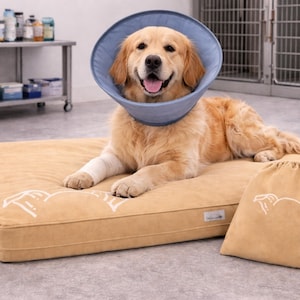 May include: A golden retriever wearing a blue cone collar, lying on a tan dog bed with a matching bag. The dog has a bandaged front paw. The bed and bag have a white dog silhouette design.