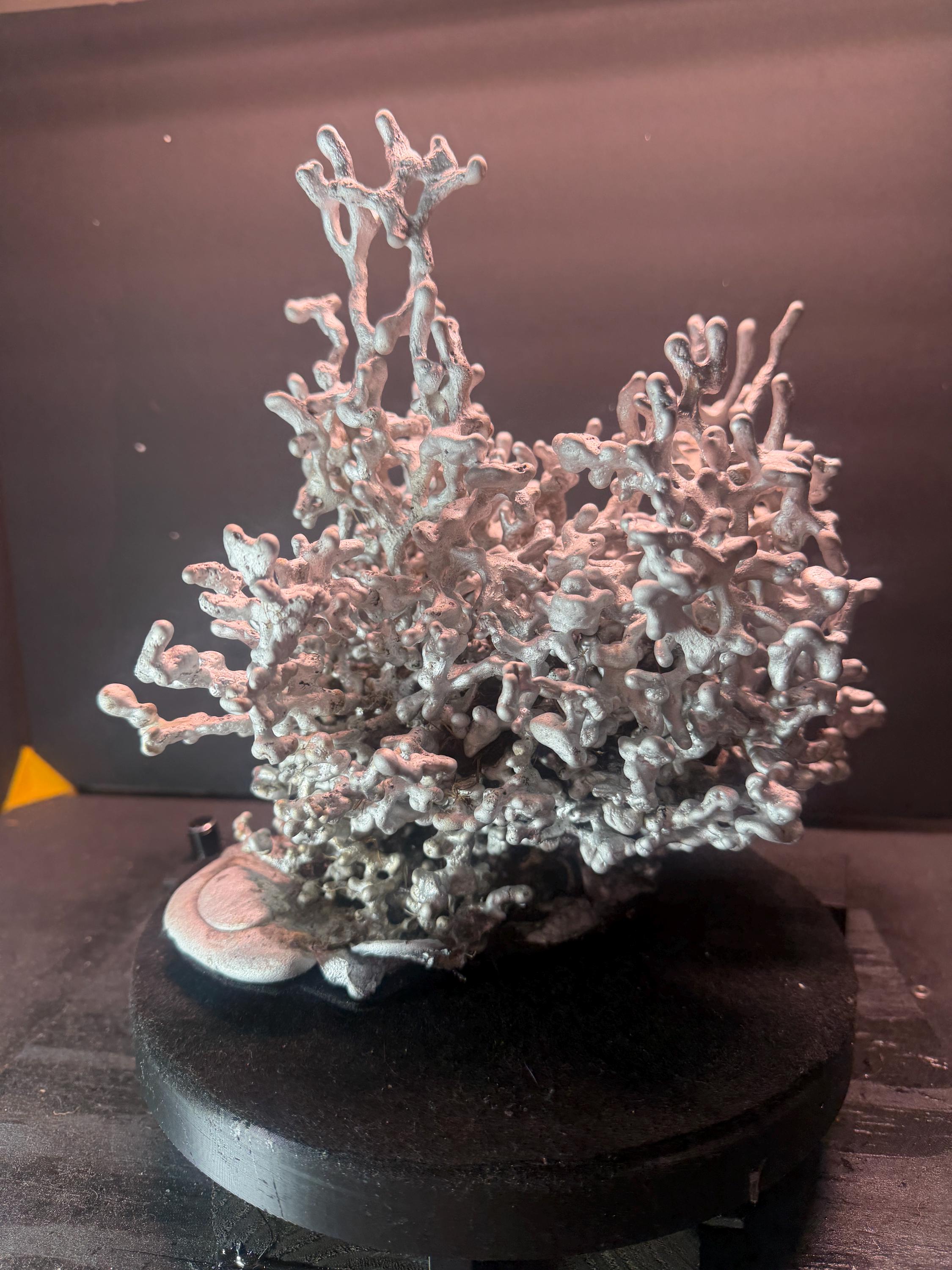 Anthill art - Etsy 日本