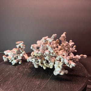 May include: Two silver-colored, coral-like sculptures with intricate, porous structures. The larger piece is in the foreground, with a smaller one to the left. They sit on a dark, textured surface against a neutral background.