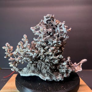 May include: A detailed sculpture resembling coral, with a textured, porous surface. The sculpture is primarily silver and gray, mounted on a black, circular base. The base sits on a wooden surface.
