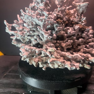 May include: A silver-colored, intricate, branching metal sculpture with a rough, porous texture. The structure features numerous interconnected, coral-like protrusions and is mounted on a circular, solid black base that provides a stable foundation.