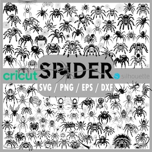 Puede incluir: Una colección de ilustraciones de arañas en blanco y negro, de varios tamaños y poses. La palabra "SPIDER" se muestra de forma destacada en una fuente grande y estilizada. La imagen también incluye el texto "cricut" y "silhouette" con opciones de formato de archivo: SVG, PNG, EPS y DXF.