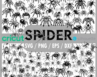 134 SVG Tarantula Spider Mega Bundle | Jättespindlar, araknidsilhuetter, läskiga krypande djur och gotiska spindeldesigner | Svg Dxf Eps Png-filer