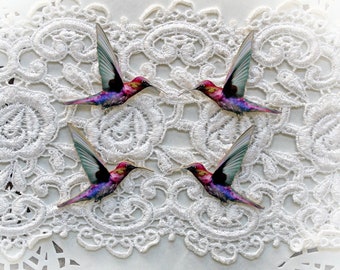 Reneabouquets Printed Beautiful Board Majestic Hummingbirds Itty Bitty Set Of 4 Laser Cut Chipboard Choose  1 3/4 Inch, 2 Inch