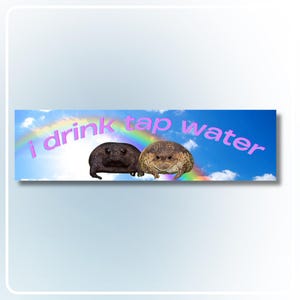 I Drink Tap Water Autoaufkleber, lustiges Meme, Vinyl Aufkleber, ausgehängt, Auto Liebhaber Geschenk, wasserdicht, laminiert