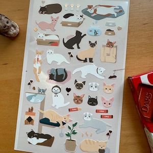 Könnte beinhalten: Ein Bogen mit Aufklebern zum Thema Katze, die verschiedene Katzenrassen in unterschiedlichen Posen zeigen. Die Aufkleber zeigen Katzen in Kisten, beim Schlafen und Spielen, mit Herzen und Pfotenabdrücken. Die Farbpalette umfasst Braun, Schwarz, Weiß und Grau.