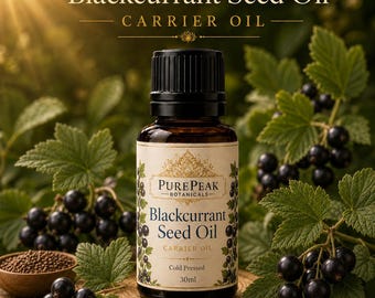 Blackcurrant Seed Oil, Ribes Nigrum Carrier Oil for DIY Skincare, Haircare, Soap Making and Cosmetic Formulations, 10ml to 100ml