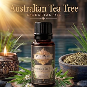 Australian Tea Tree Essential Oil | Pure Botanical Aromatic Oil for Diffusers, Soap Making, Candle Crafting & DIY Fragrance Blends