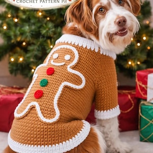 May include: A dog wearing a crocheted gingerbread man sweater. The tan sweater has a white outline and trim, with red and green button accents. The text "Gingerbread Dog Sweater" is at the top of the image.