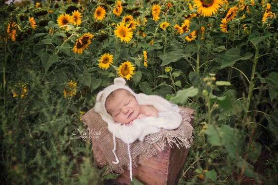 sunflower newborn photos