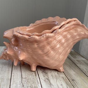 May include: A glossy, light peach-colored ceramic bowl shaped like a large conch shell. The bowl features a textured, ridged exterior with a wide, open top and a tapered, pointed end, resting on small, integrated feet for stability.