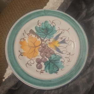 以下が含まれることがあります： 丸いセラミックプレート。縁はターコイズグリーン、中央は白。ブドウ、葉、鳥のカラフルなデザイン。ブドウは紫、葉はターコイズとオレンジ、鳥は黄色と青。キッチン用の装飾品です。