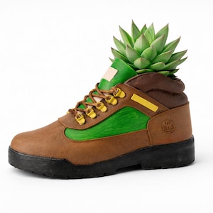 May include: A brown and green boot with a black sole, featuring a succulent plant growing out of the top. The boot has yellow eyelets and a green and brown color scheme, with the Timberland logo visible.