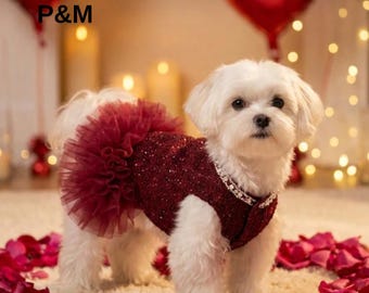 Prinzessin Tutu Haustierkleid: Elegantes Outfit für kleine Hunde & Katzen