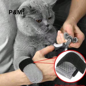 Puede incluir: Un gato gris se corta las uñas. El gato lleva protectores de patas de malla gris con correas de velcro negras. La imagen incluye un primer plano del diseño de velcro del protector de patas. El texto "P&M" es visible en la esquina superior izquierda.