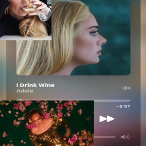 May include: A composite image featuring Adele. One image shows her drinking wine, another a profile view, and a third shows her in water surrounded by flowers. The text "I Drink Wine" and Adele's name are also visible.