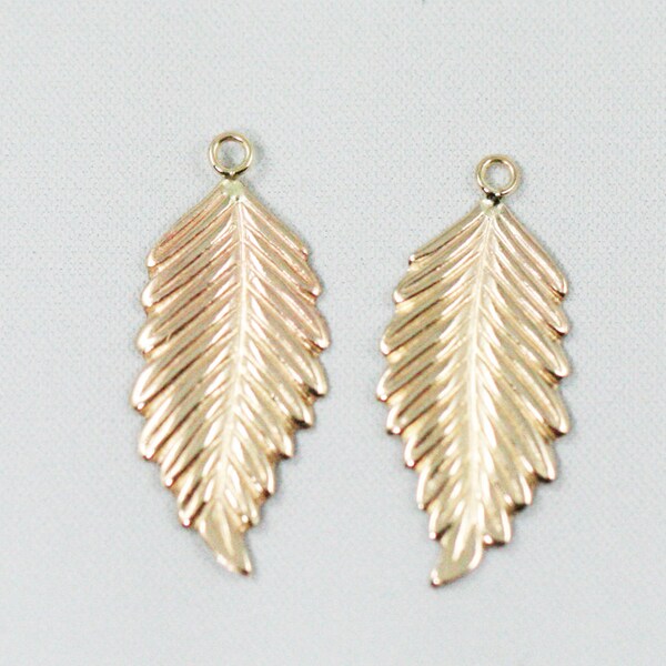 Reserved for LeislasLilyPad