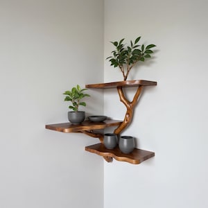 Puede incluir: Estantería esquinera de madera de tres niveles con diseño de rama de árbol. Las estanterías exhiben pequeñas plantas en macetas y recipientes de cerámica gris oscuro. La madera tiene un acabado cálido y natural. La estantería está montada en una pared blanca.