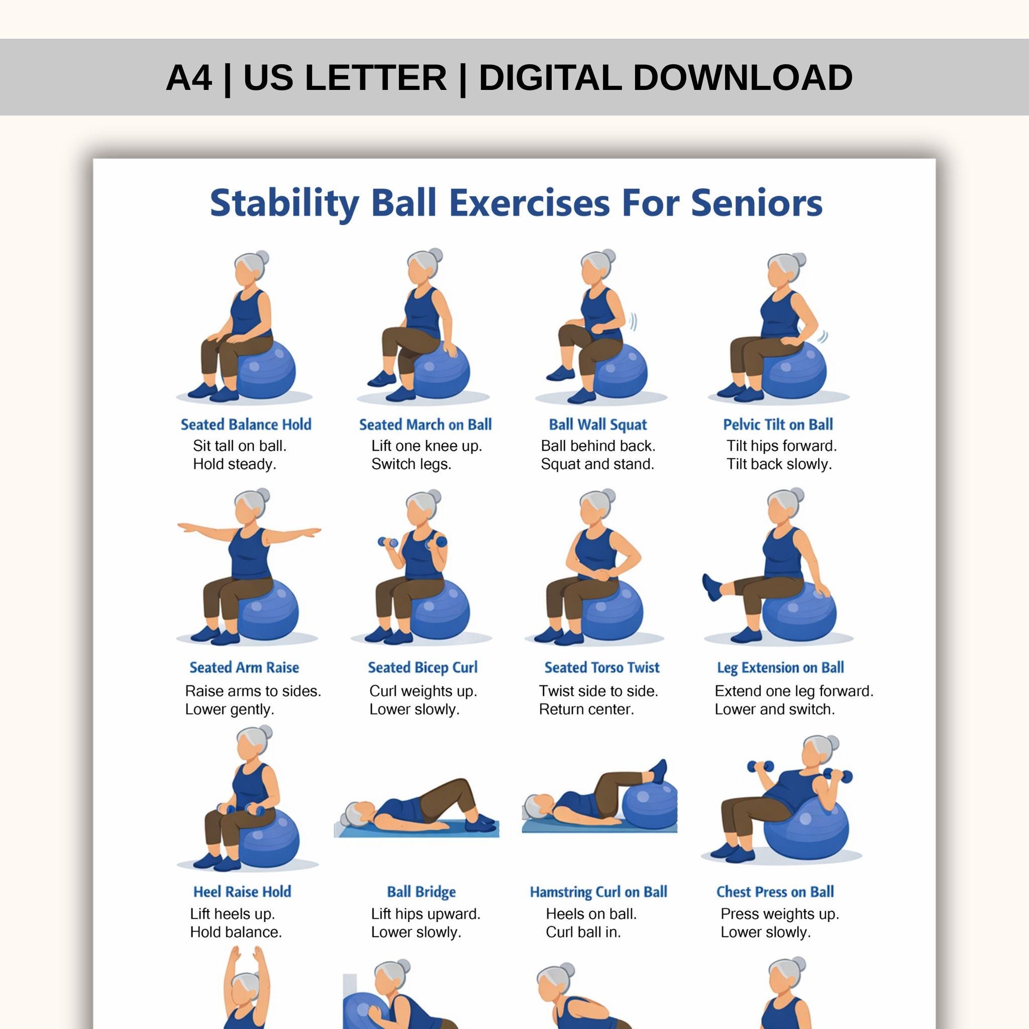 Stability Ball Exercises for Seniors Printable | Balance & Core Workout Chart | Gentle Low ...