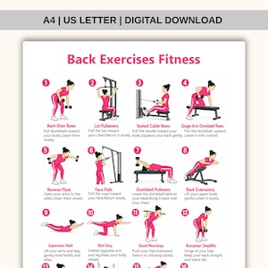 May include: A white fitness poster titled Back Exercises Fitness featuring sixteen numbered illustrations of a person in pink athletic wear performing various back exercises with dumbbells, cables, and benches, including text instructions for each movement.