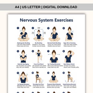 Nervous System Exercises Printable PDF | Slow Breathing & Full Body Exercise Chart | Seated Home Wellness Routine