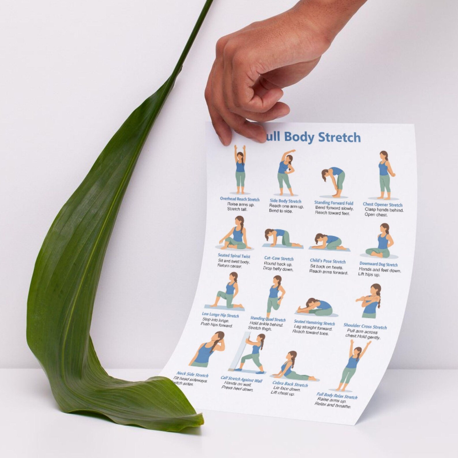 Daily Full Body Stretch Routine Full Body Stretch Exercises Printable | Beginner Flexibility Workout ...