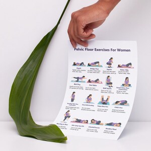 May include: A white sheet with the title "Pelvic Floor Exercises For Women" and illustrations of various exercises. A large green leaf is in the foreground. The sheet is held by a hand.
