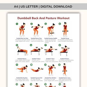May include: A digital download poster titled Dumbbell Back And Posture Workout, featuring sixteen numbered illustrations of a person in a red shirt and orange leggings performing various dumbbell exercises with instructional text for each movement.