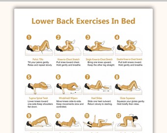 Lower Back Exercises in Bed Printable PDF | Gentle Back Exercise Chart | Bed Stretches & Mobility Workout | Home Fitness Poster