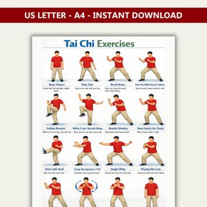 May include: A poster titled "Tai Chi Exercises" features illustrations of various Tai Chi poses. Each pose is demonstrated by a figure in a red shirt and tan pants. The poster includes text describing each exercise, such as "Basic Stance" and "Step Out."